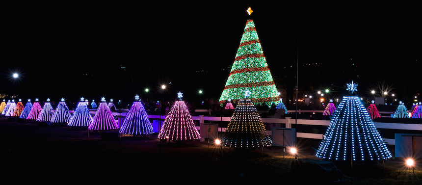 Où voir les sapins de Noël de Washington, DC