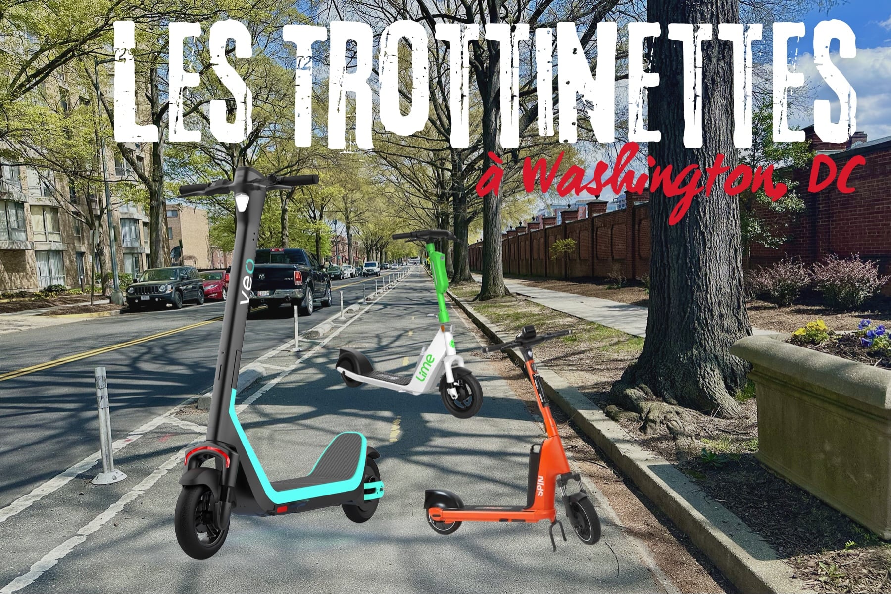 Les trottinettes en libre-service à Washington